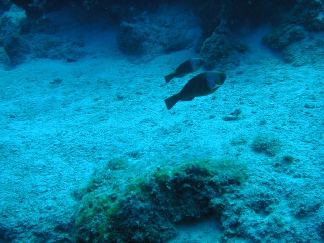 PICT1023.JPG